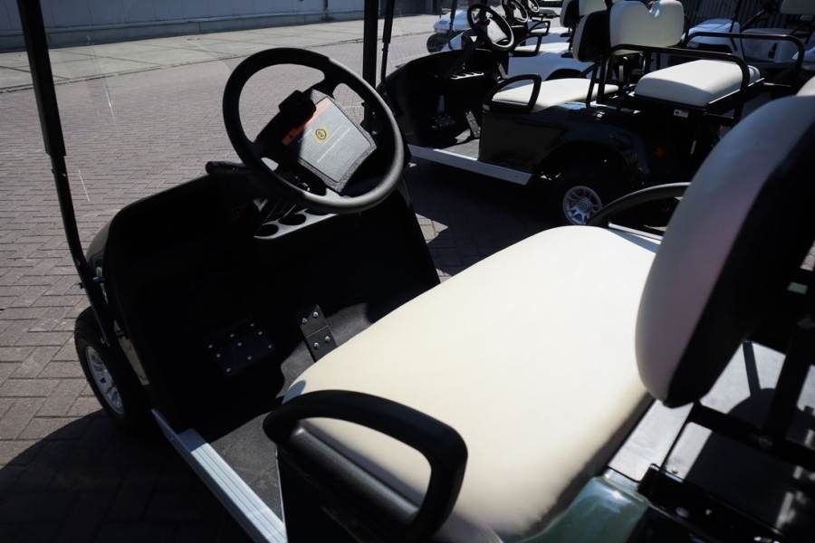 Golf cart BRINGO DG-C2 Valid Inspection, *Guarantee! Dutch R: picture 6
