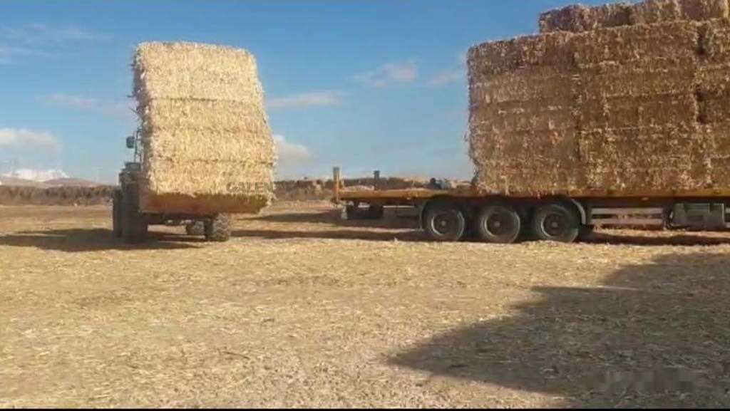 New Forks for Agricultural machinery Galen Loader Bale Spear Attachment: picture 7 New Forks for Agricultural machinery Galen Loader Bale Spear Attachment: picture 7