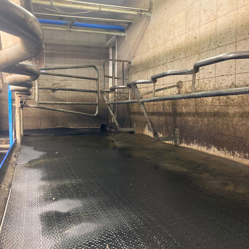DeLaval Fischgrätenmelkstand Doppel 10er - Milking equipment: picture 2 DeLaval Fischgrätenmelkstand Doppel 10er - Milking equipment: picture 2