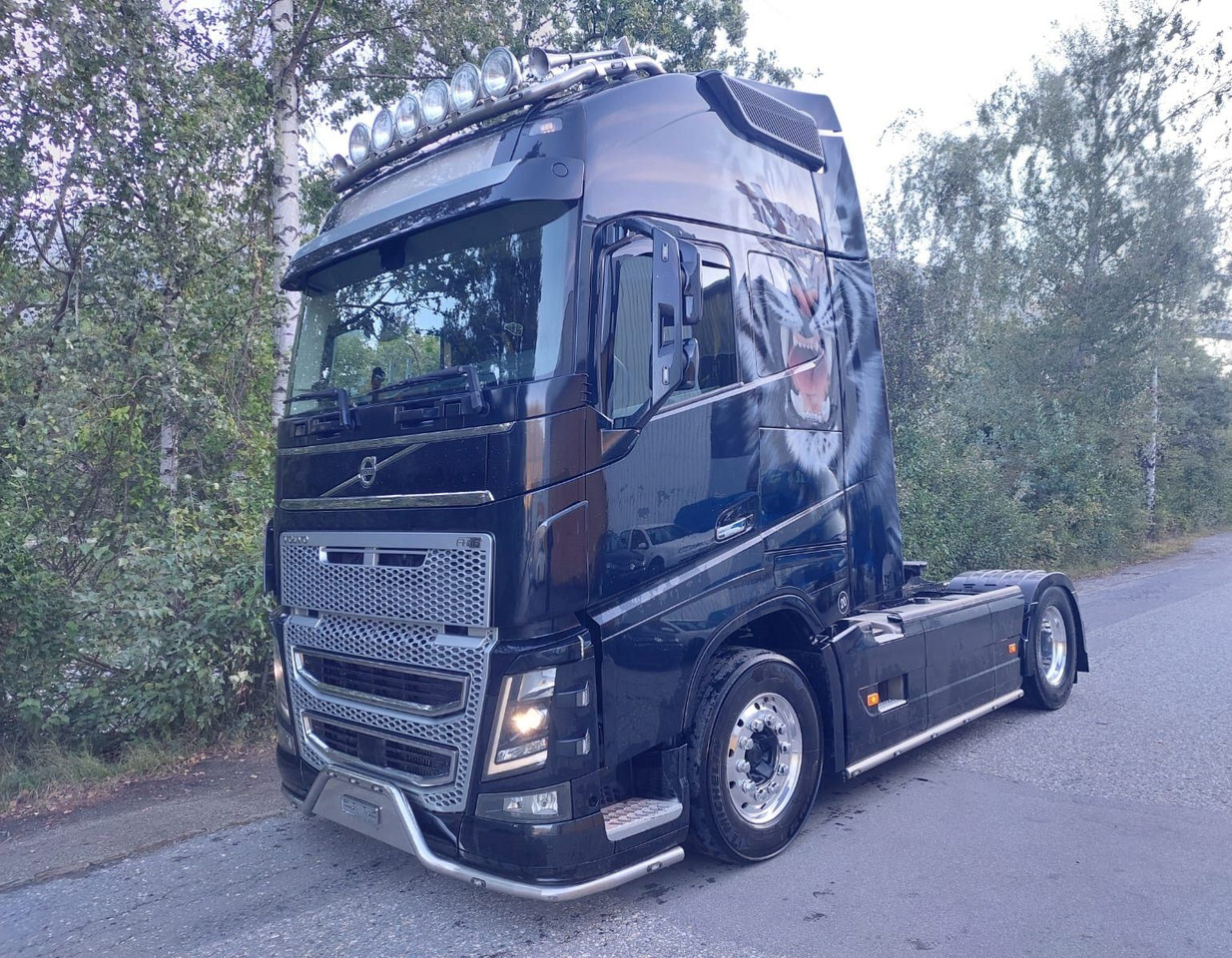 Volvo FH16-650 4x2, Euro 6, VEB, airbrush - Tractor unit: picture 1 Volvo FH16-650 4x2, Euro 6, VEB, airbrush - Tractor unit: picture 1