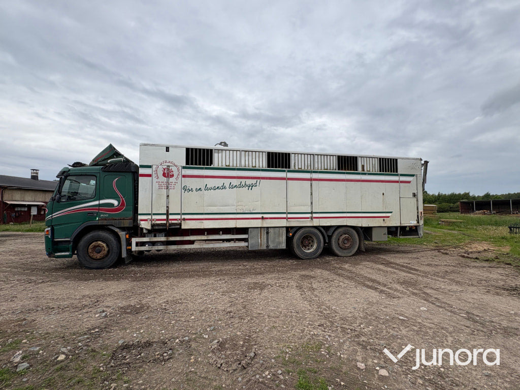 Djurtransport Volvo FM9 6x2 - Livestock truck: picture 2 Djurtransport Volvo FM9 6x2 - Livestock truck: picture 2