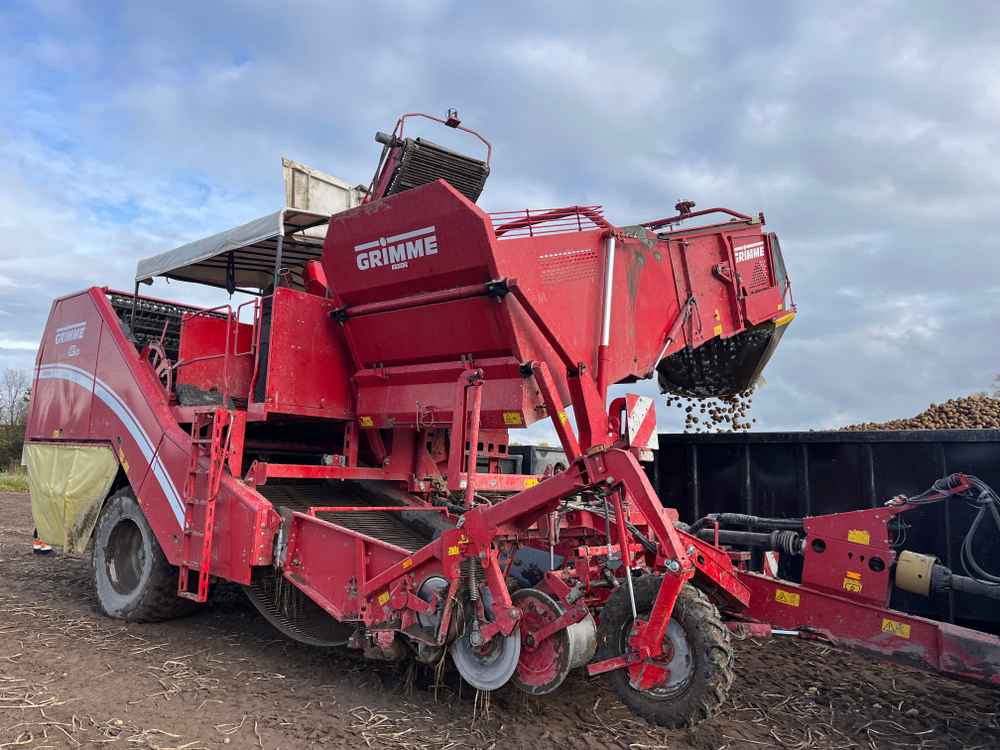 Grimme SE-260-UB - Harvester: picture 1 Grimme SE-260-UB - Harvester: picture 1