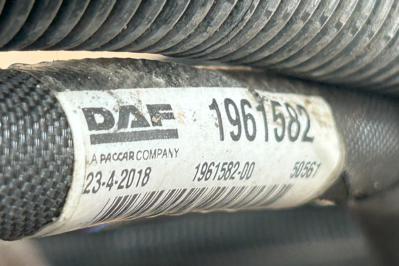 Cables/ Wire harness DAF XF 106 ELECTRICAL HARNESS: picture 7