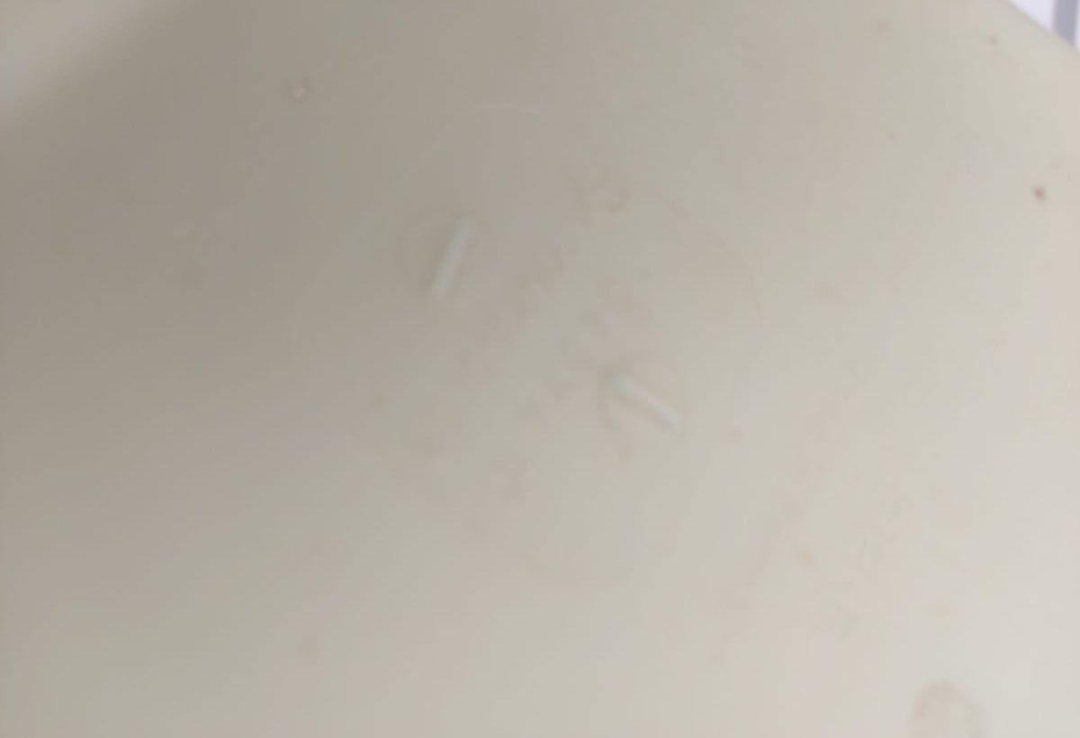 Mercedes-Benz A9062050406 Mercedes-Benz Actros Axor truck - Fan for Truck: picture 5 Mercedes-Benz A9062050406 Mercedes-Benz Actros Axor truck - Fan for Truck: picture 5