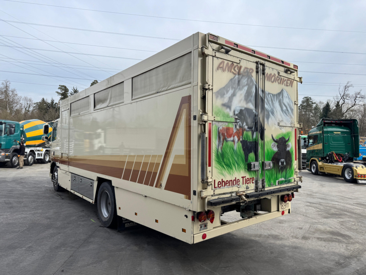 Livestock truck DAF CF410 4x2: picture 7