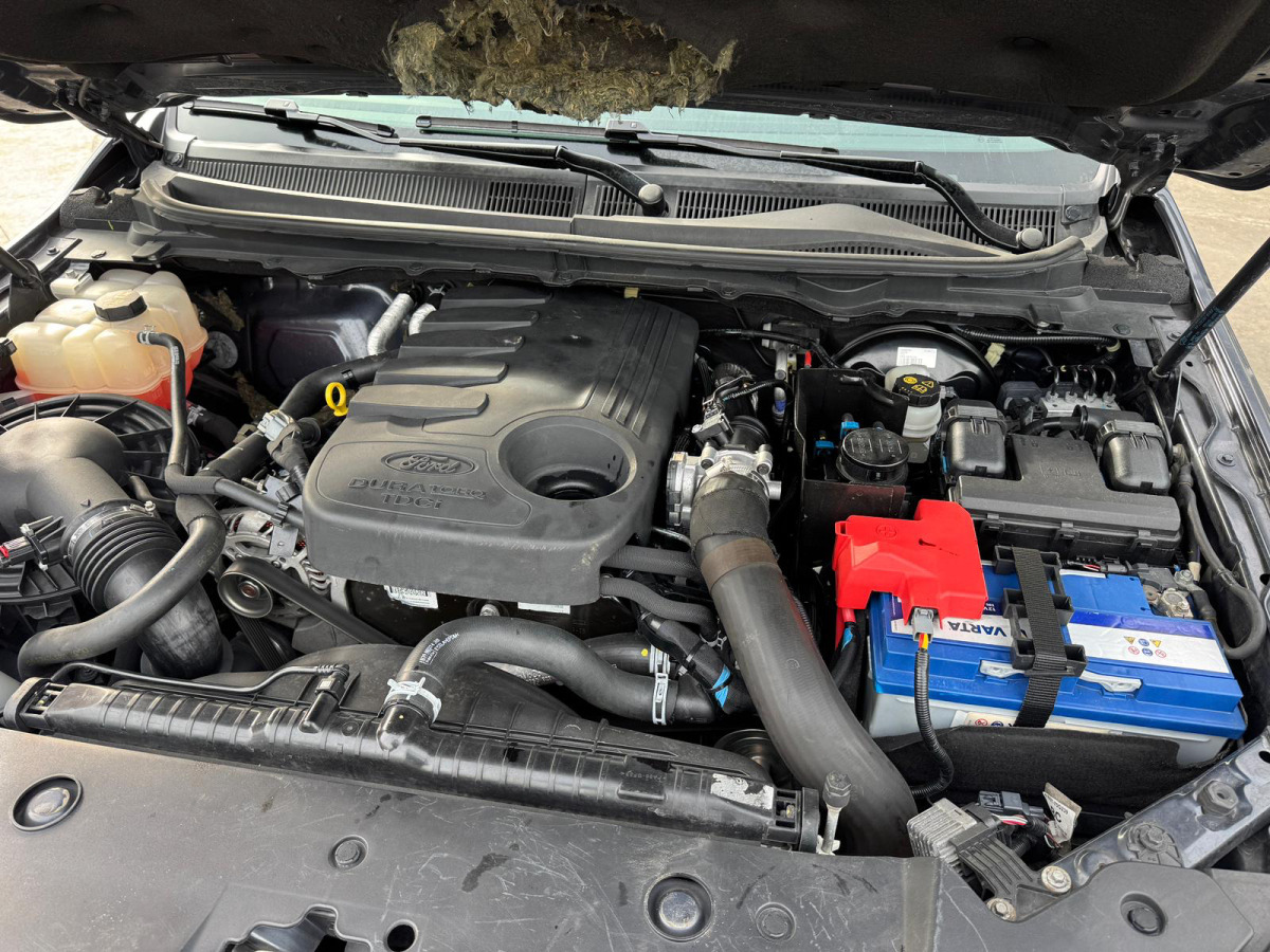 Pickup truck FORD Ranger 3.2 Diesel 4x4: picture 16