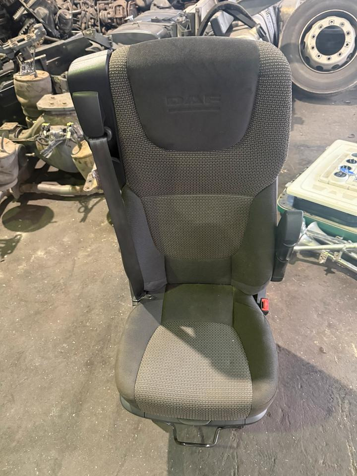 DAF XF 460 Euro6 Beifahrersitz - Seat for Truck: picture 1 DAF XF 460 Euro6 Beifahrersitz - Seat for Truck: picture 1