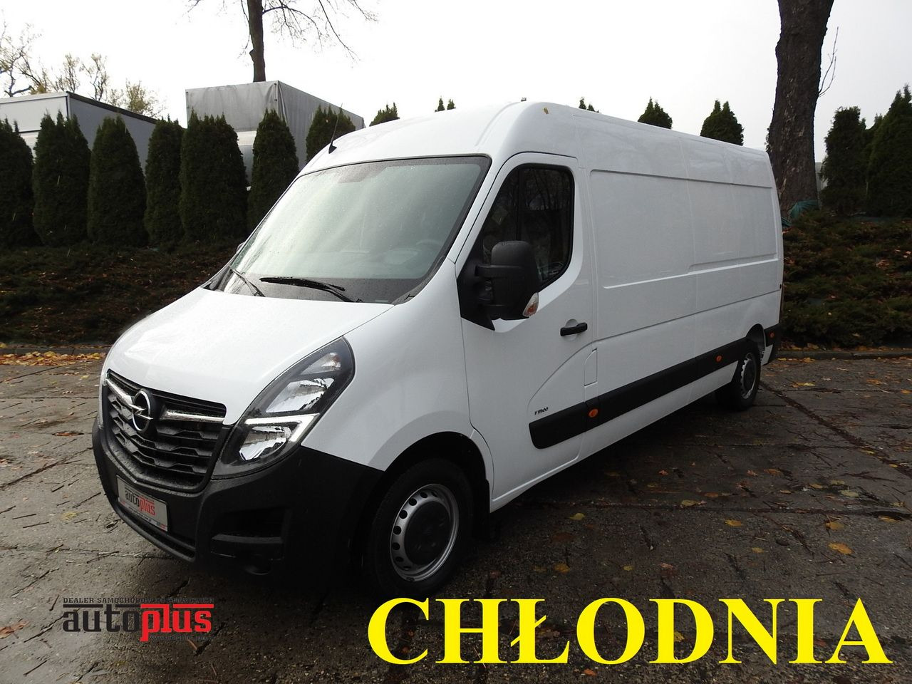 OPEL MOVANO - Refrigerated van: picture 1 OPEL MOVANO - Refrigerated van: picture 1