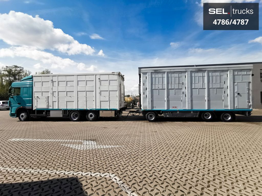 DAF XF 105.460 / Intarder / 4 Stock / KOMPLETT ! - Livestock truck: picture 1 DAF XF 105.460 / Intarder / 4 Stock / KOMPLETT ! - Livestock truck: picture 1