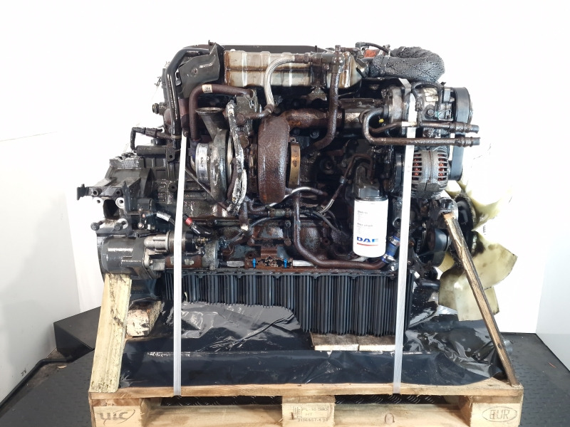 DAF PX-7 184 Engine (Truck) - Engine for Truck: picture 4 DAF PX-7 184 Engine (Truck) - Engine for Truck: picture 4