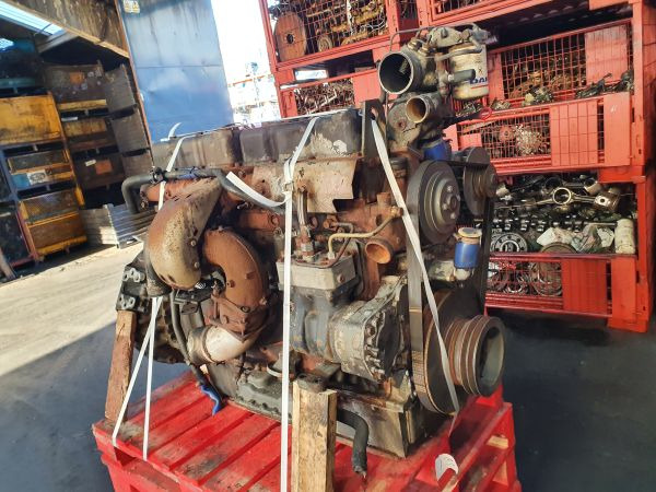 DAF WS 242 M - Engine: picture 5 DAF WS 242 M - Engine: picture 5