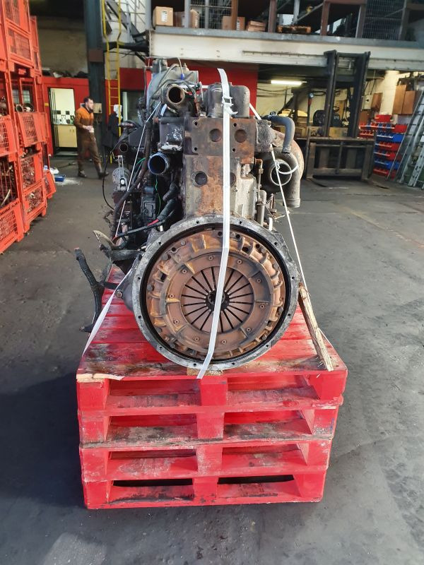 DAF WS 242 M - Engine: picture 3 DAF WS 242 M - Engine: picture 3