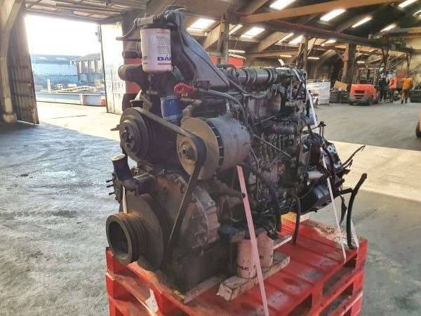 DAF WS 242 M - Engine: picture 1 DAF WS 242 M - Engine: picture 1