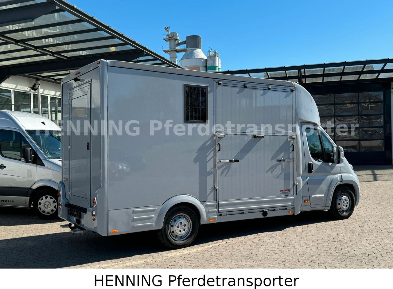 Citroën Jumper 3 - Sitzer *AUFBAU NEU* - Horse truck: picture 3 Citroën Jumper 3 - Sitzer *AUFBAU NEU* - Horse truck: picture 3