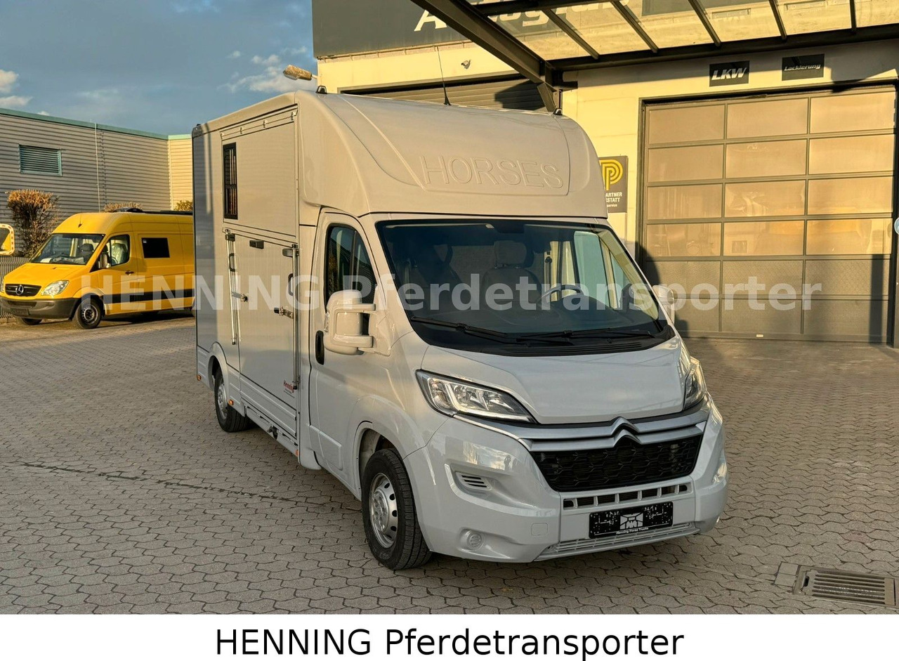 Citroën Jumper 3 - Sitzer - Livestock truck: picture 2 Citroën Jumper 3 - Sitzer - Livestock truck: picture 2