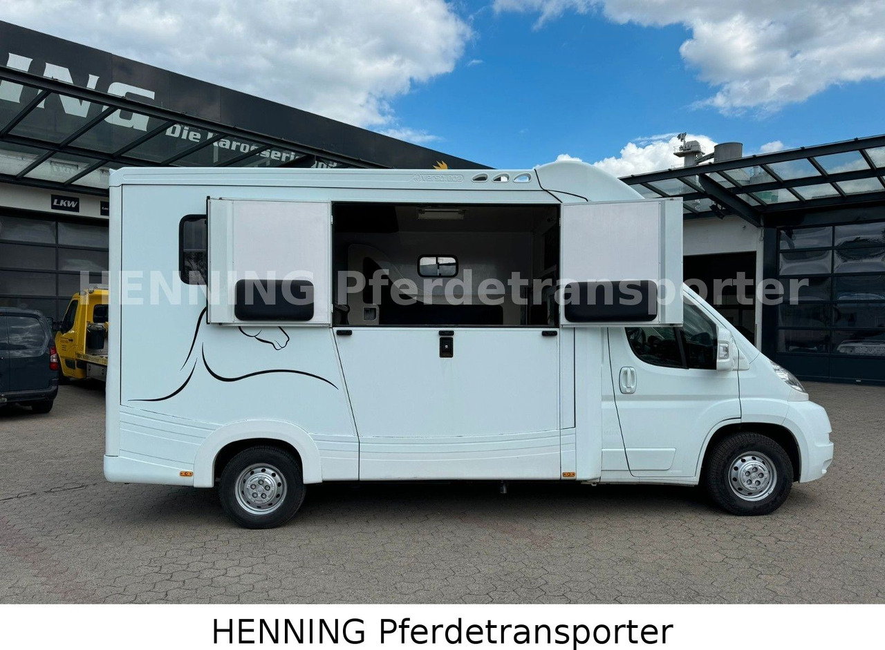 Fiat Ducato 3-Sitzer - Horse truck, Van: picture 3 Fiat Ducato 3-Sitzer - Horse truck, Van: picture 3