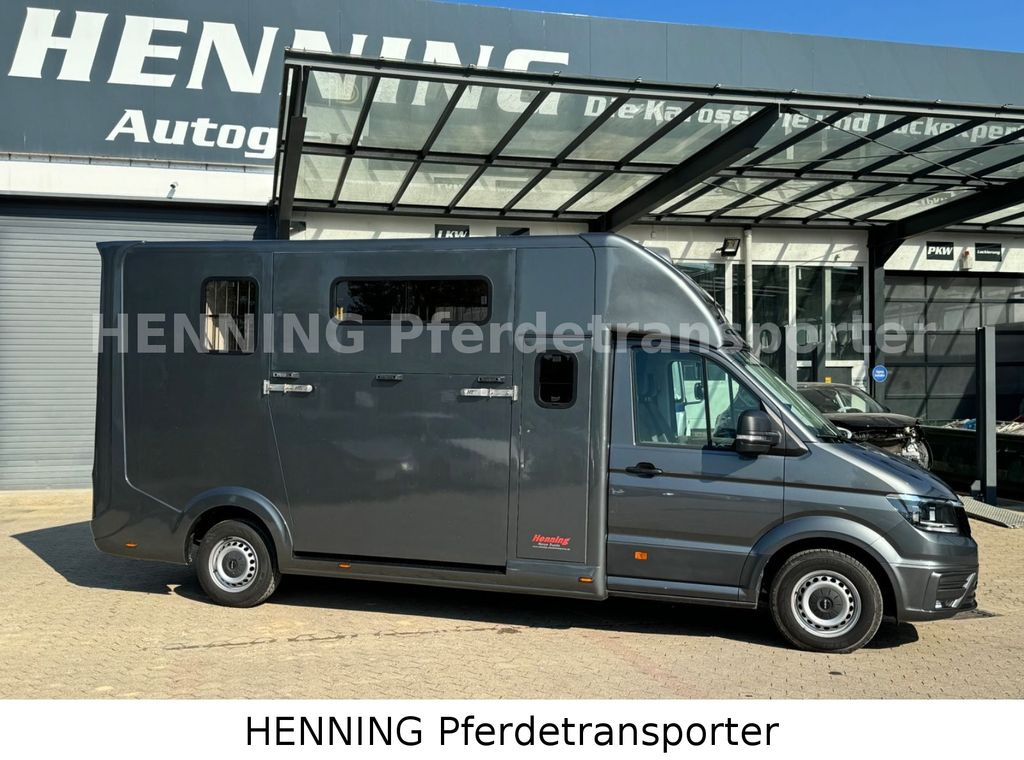 MAN TGE 3 - Sitzer *AUFBAU NEU* *SOZIALRAUM* - Horse truck: picture 3 MAN TGE 3 - Sitzer *AUFBAU NEU* *SOZIALRAUM* - Horse truck: picture 3