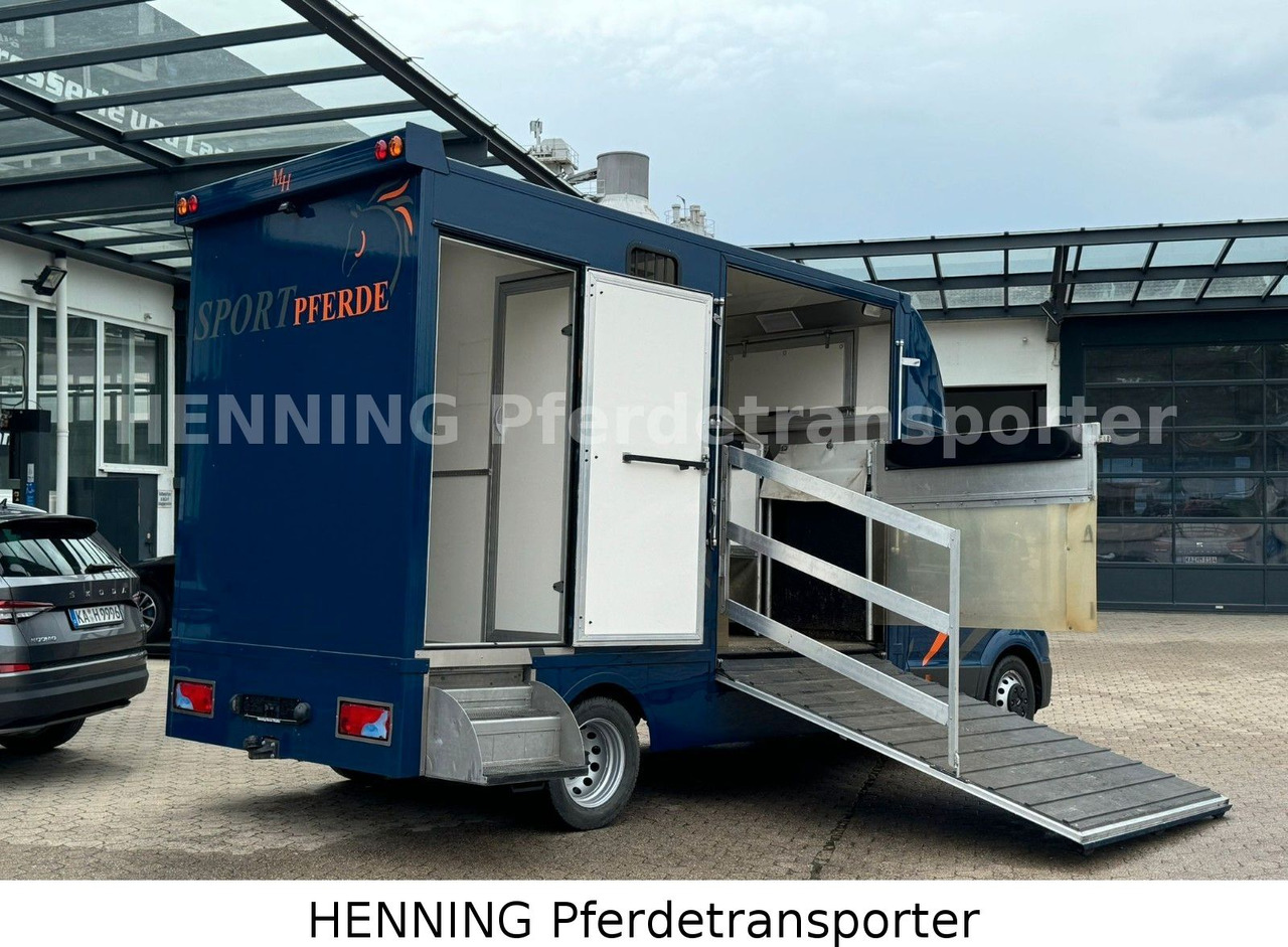 MAN TGE 5.500kg Gesamtgewicht - Livestock truck: picture 4 MAN TGE 5.500kg Gesamtgewicht - Livestock truck: picture 4