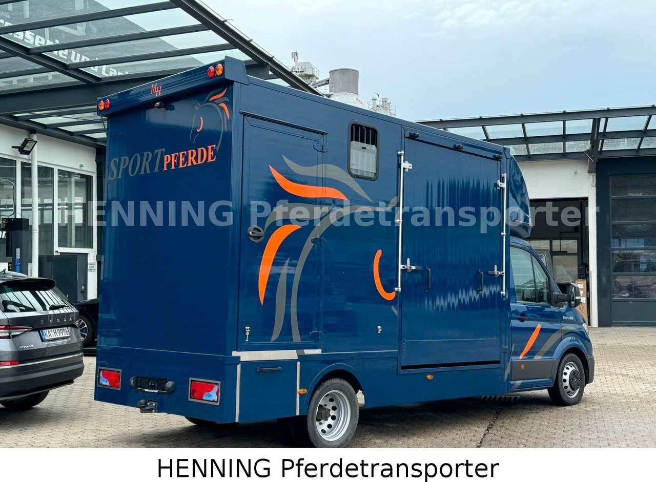 MAN TGE 5.500kg Gesamtgewicht - Livestock truck: picture 3 MAN TGE 5.500kg Gesamtgewicht - Livestock truck: picture 3
