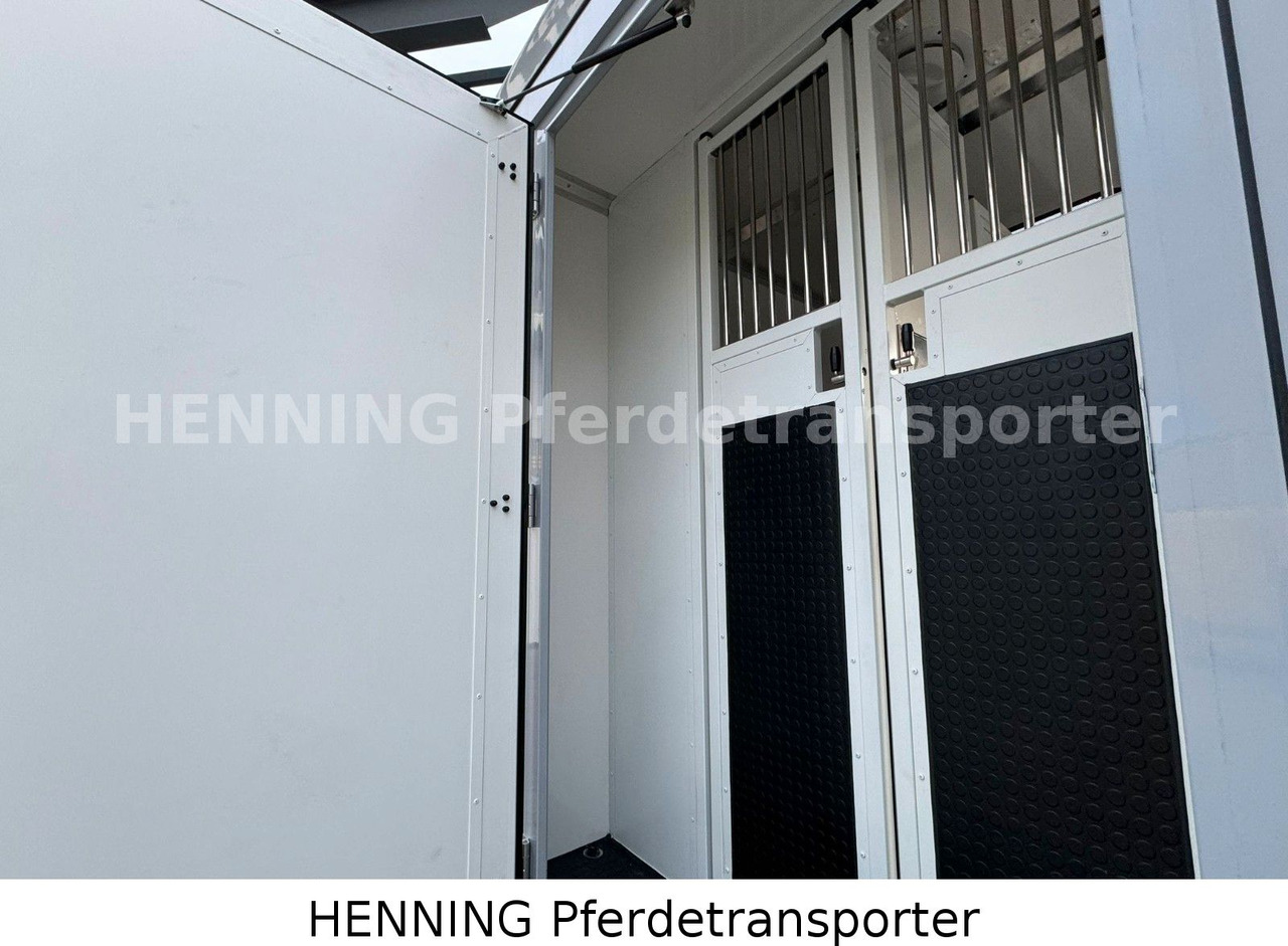 Livestock truck Nissan Interstar: picture 10 Livestock truck Nissan Interstar: picture 10