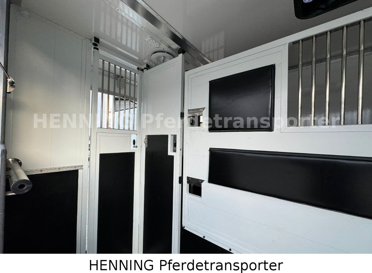 Livestock truck Nissan Interstar: picture 7 Livestock truck Nissan Interstar: picture 7