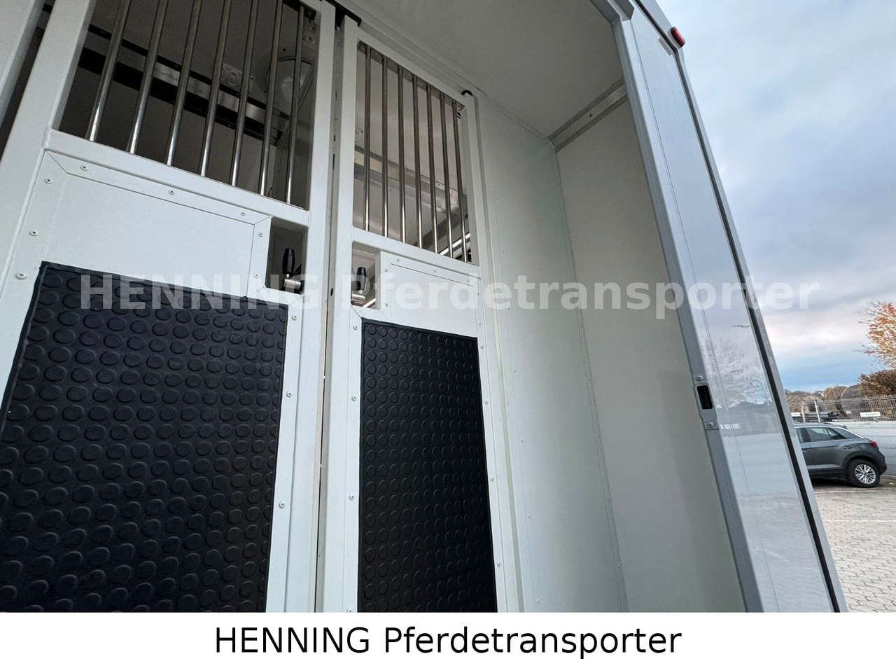 Livestock truck Nissan Interstar: picture 11 Livestock truck Nissan Interstar: picture 11