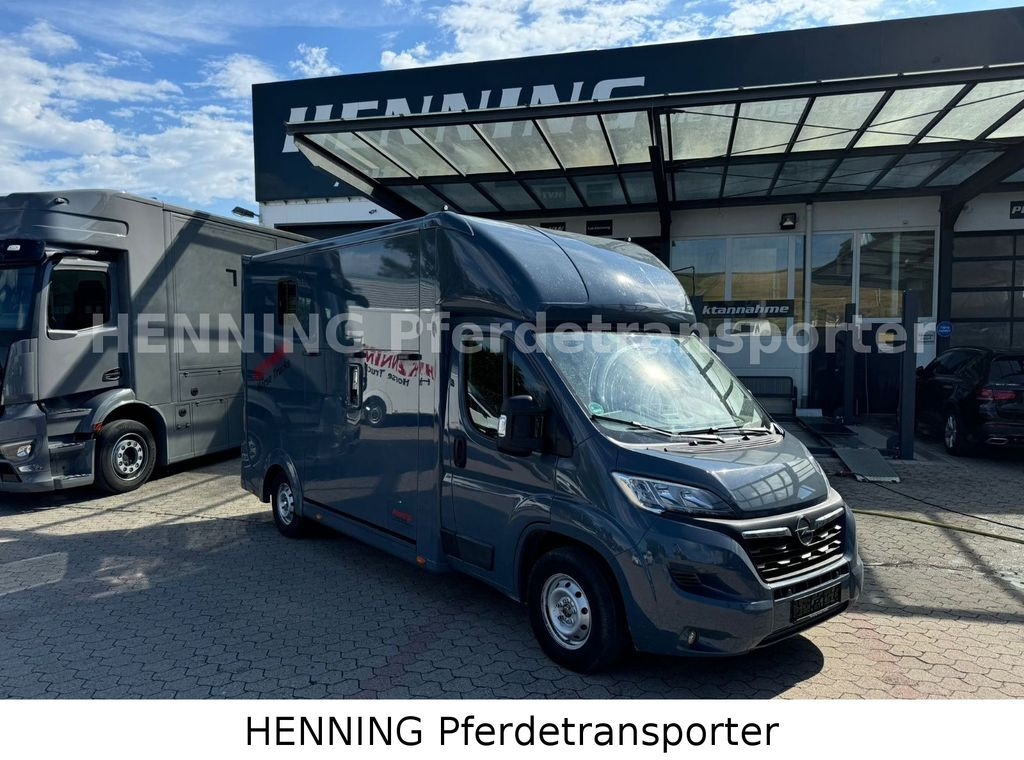 Opel Movano 3 - Sitzer *AUFBAU NEU* Opel Movano 3 - Sitzer *AUFBAU NEU* - Horse truck: picture 1 Opel Movano 3 - Sitzer *AUFBAU NEU* Opel Movano 3 - Sitzer *AUFBAU NEU* - Horse truck: picture 1