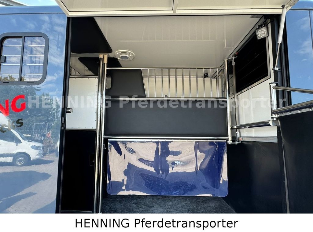 Opel Movano 3 - Sitzer *AUFBAU NEU* Opel Movano 3 - Sitzer *AUFBAU NEU* - Horse truck: picture 4 Opel Movano 3 - Sitzer *AUFBAU NEU* Opel Movano 3 - Sitzer *AUFBAU NEU* - Horse truck: picture 4