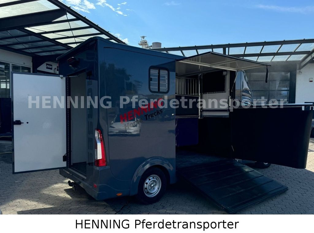 Opel Movano 3 - Sitzer *AUFBAU NEU* Opel Movano 3 - Sitzer *AUFBAU NEU* - Horse truck: picture 3 Opel Movano 3 - Sitzer *AUFBAU NEU* Opel Movano 3 - Sitzer *AUFBAU NEU* - Horse truck: picture 3