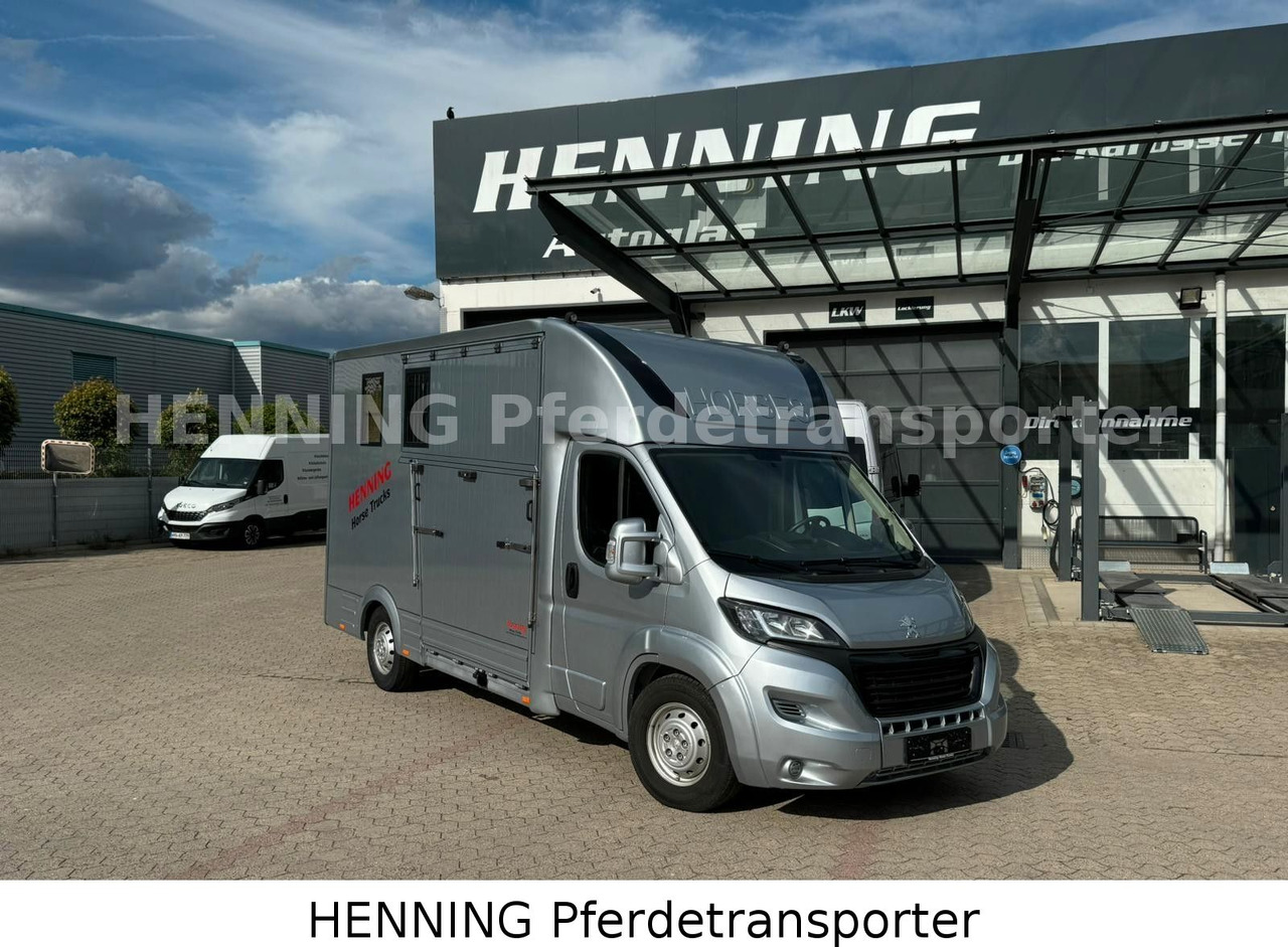 Peugeot Boxer 3 - Sitzer - Livestock truck: picture 1 Peugeot Boxer 3 - Sitzer - Livestock truck: picture 1