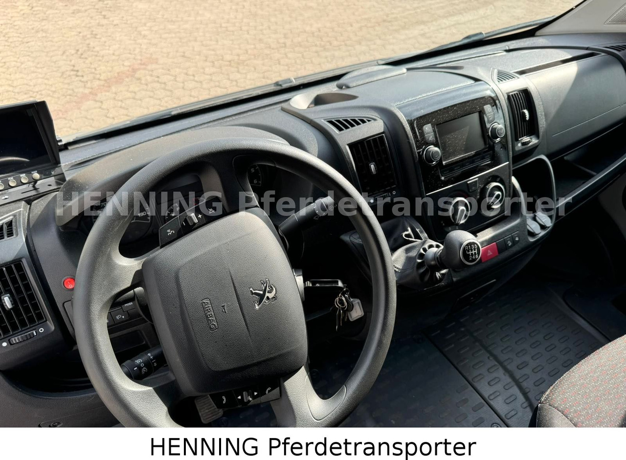 Livestock truck Peugeot Boxer 3 - Sitzer: picture 14
