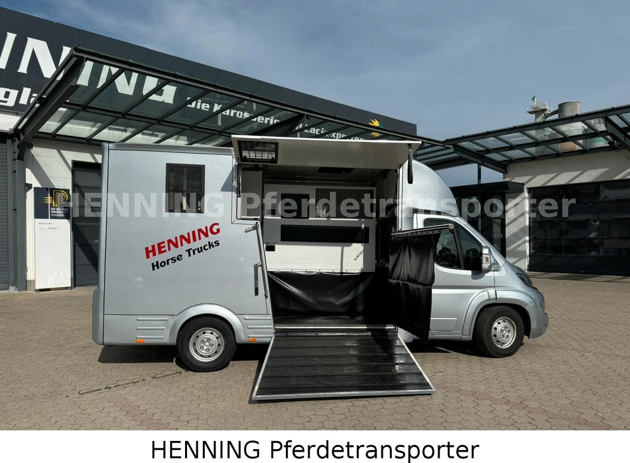 Peugeot Boxer 3 - Sitzer - Livestock truck: picture 3 Peugeot Boxer 3 - Sitzer - Livestock truck: picture 3