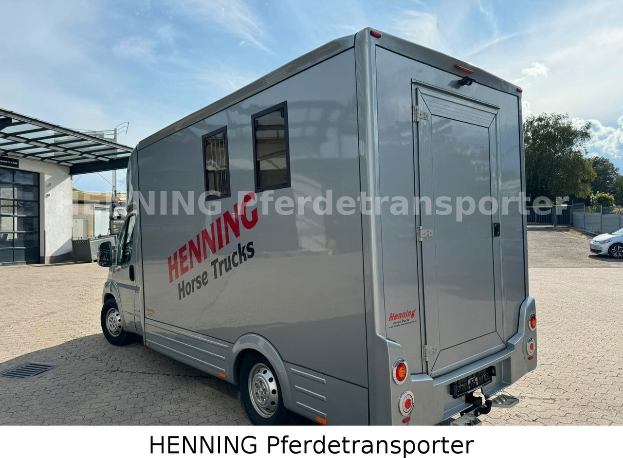 Livestock truck Peugeot Boxer 3 - Sitzer: picture 11