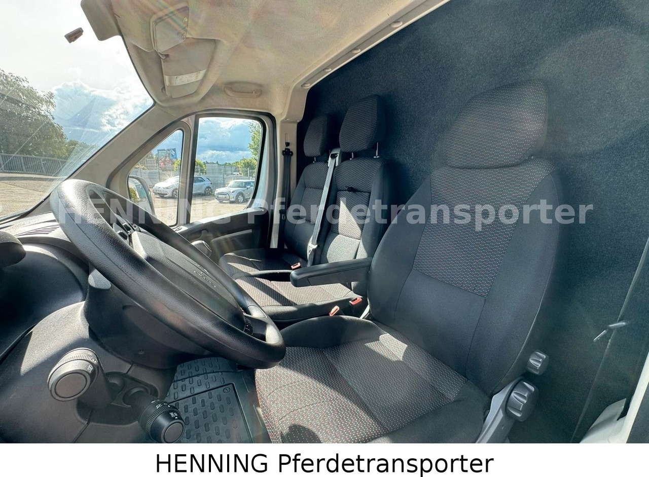 Livestock truck Peugeot Boxer 3 - Sitzer: picture 13