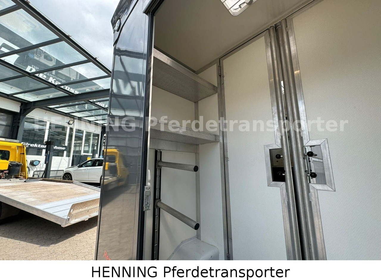 Lease a  Renault 3-Sitzer Renault 3-Sitzer: picture 8