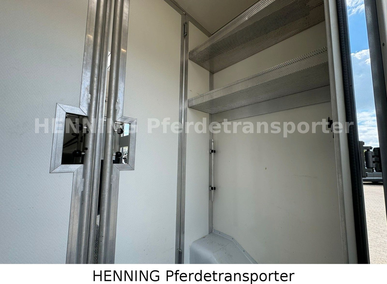Lease a  Renault 3-Sitzer Renault 3-Sitzer: picture 9