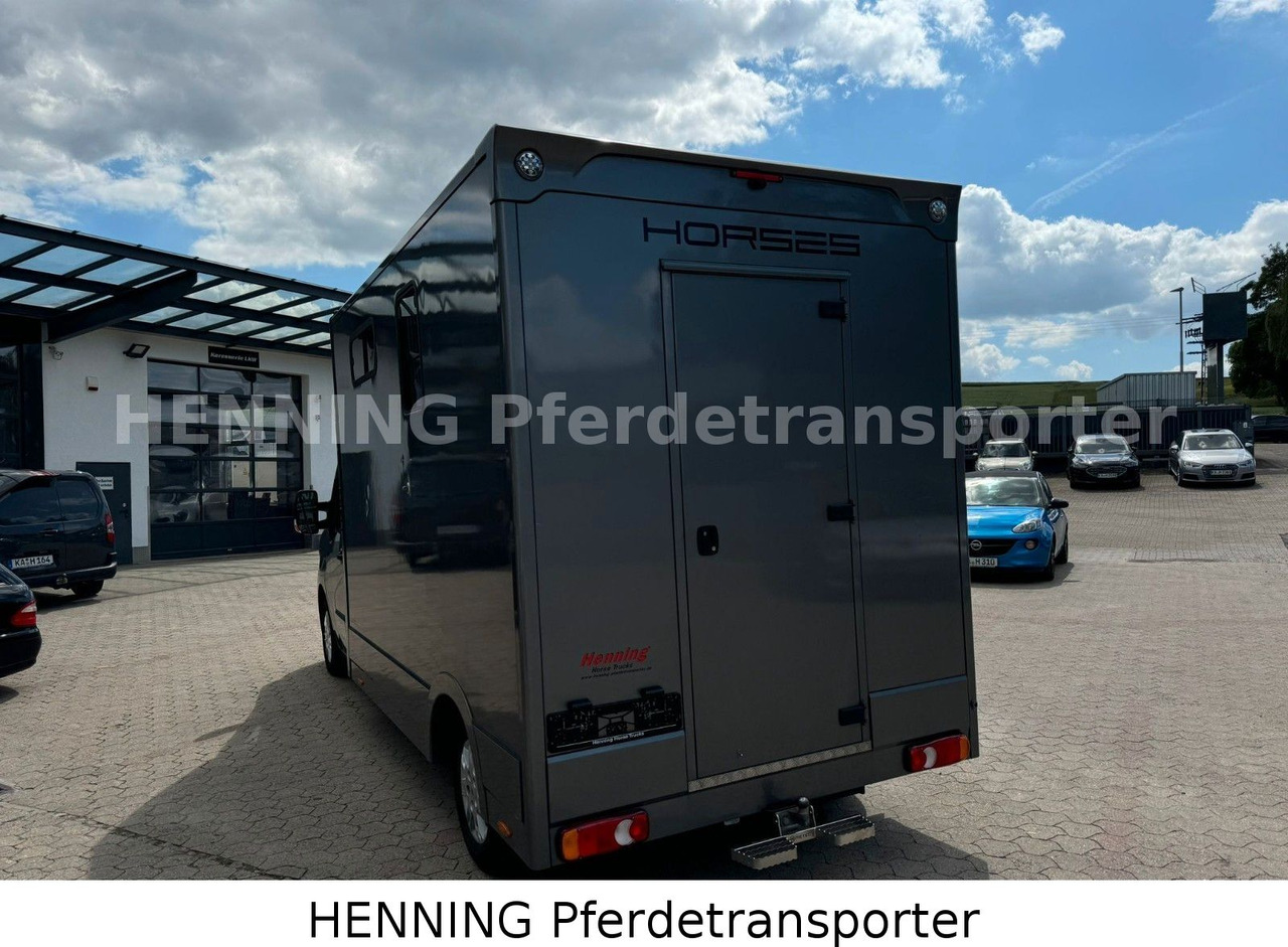 Lease a  Renault 3-Sitzer Renault 3-Sitzer: picture 12