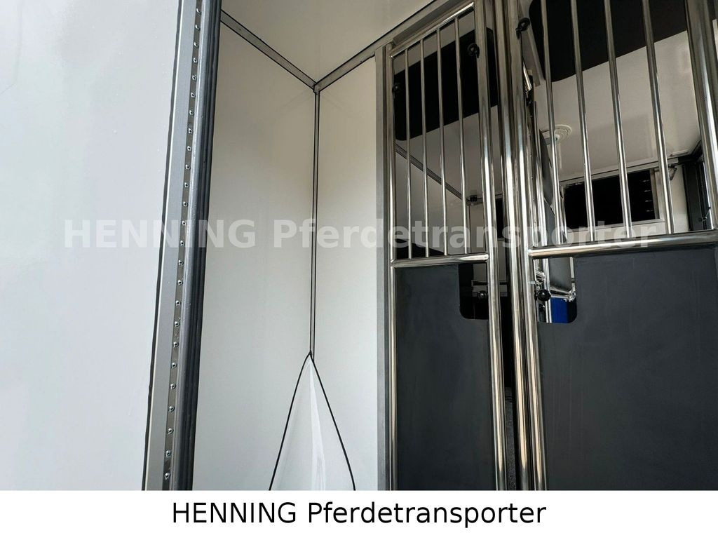 Horse truck Renault Master 3 - Sitzer: picture 10