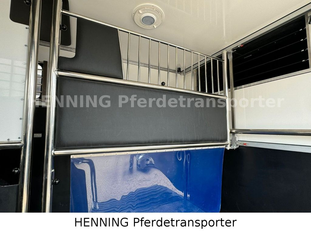 Horse truck Renault Master 3 - Sitzer: picture 6