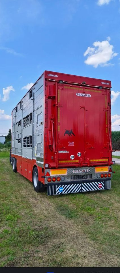 Pezzaioli RBA22 Dwuosiowa Przyczepa – 2x Bydło, 3x Trzoda – 2017r – Bezwypadkowa! - Livestock trailer: picture 5 Pezzaioli RBA22 Dwuosiowa Przyczepa – 2x Bydło, 3x Trzoda – 2017r – Bezwypadkowa! - Livestock trailer: picture 5