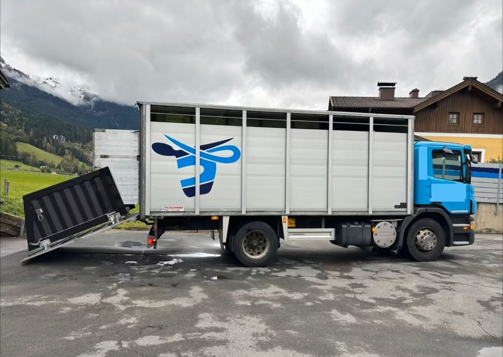 Scania P280 4x2 – Pojazd do przewozu zwierząt VIEHFAHRZEUG / jednopoziomowy – 171.000 km!! – Euro 5 - Livestock truck: picture 4 Scania P280 4x2 – Pojazd do przewozu zwierząt VIEHFAHRZEUG / jednopoziomowy – 171.000 km!! – Euro 5 - Livestock truck: picture 4