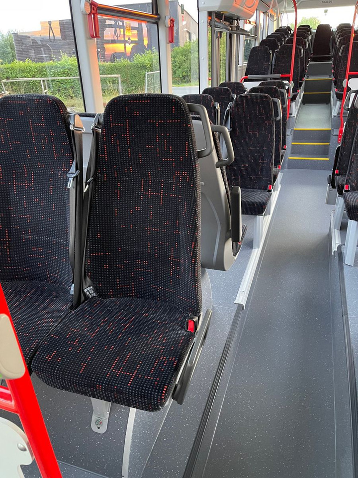 City bus MAN Lion's Intercity LE 12: picture 16