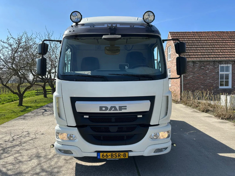 DAF LF 250 / NL TRUCK / EURO6 / LENGTE BAK 950cm / 12T - Autotransporter truck: picture 2 DAF LF 250 / NL TRUCK / EURO6 / LENGTE BAK 950cm / 12T - Autotransporter truck: picture 2
