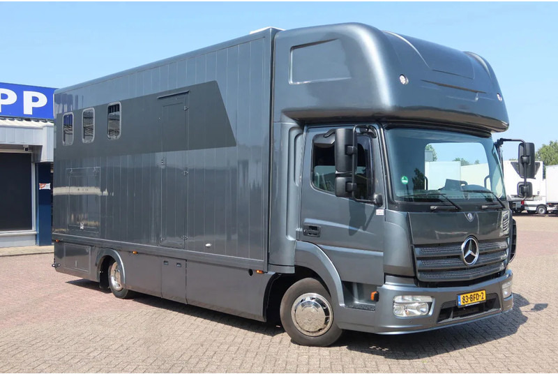 Mercedes-Benz Atego 816 L 3 Paarden/4 Ponies Nieuwe APK + nieuwe accu. - Horse truck: picture 2 Mercedes-Benz Atego 816 L 3 Paarden/4 Ponies Nieuwe APK + nieuwe accu. - Horse truck: picture 2