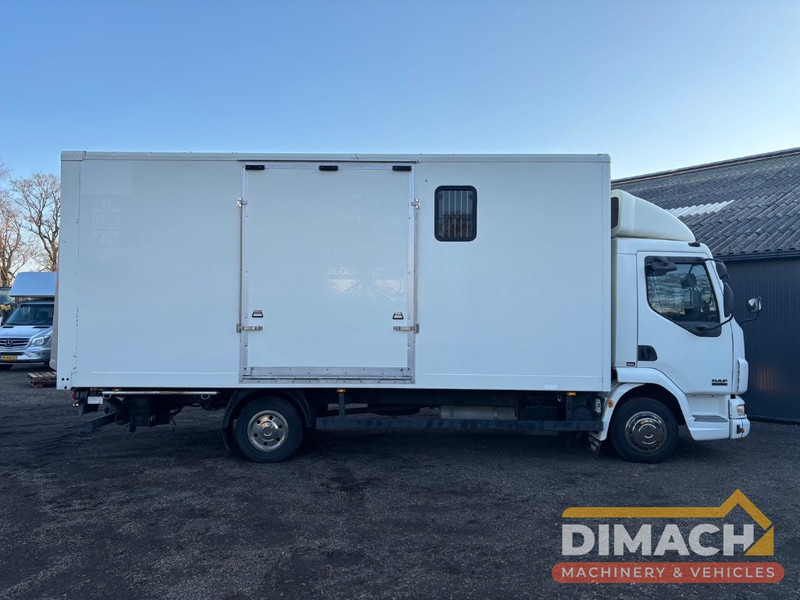 DAF FA LF45.150 4 paards, laadlift. Horsetruck NL truck - Horse truck: picture 4 DAF FA LF45.150 4 paards, laadlift. Horsetruck NL truck - Horse truck: picture 4