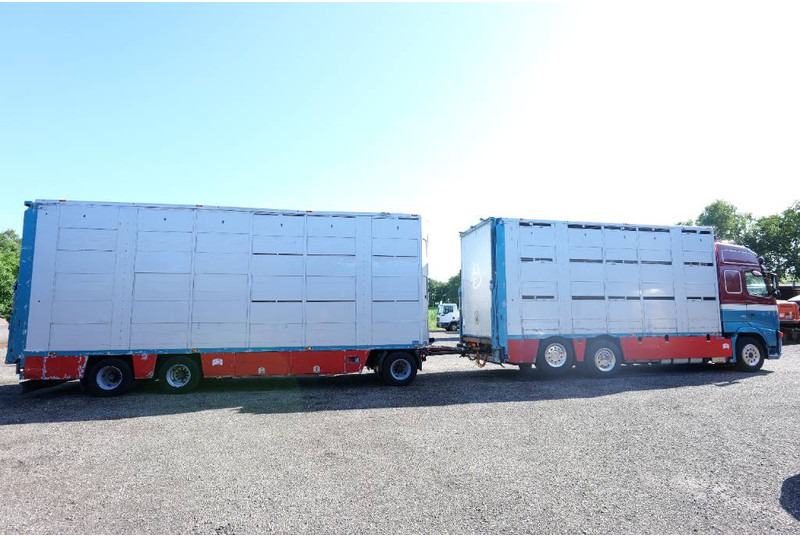 Volvo FH 13 480 6x2 3 stock livestock transport Cuppers - Livestock truck: picture 4 Volvo FH 13 480 6x2 3 stock livestock transport Cuppers - Livestock truck: picture 4