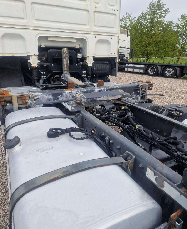 Container transporter/ Swap body truck DAF XF 460: picture 14
