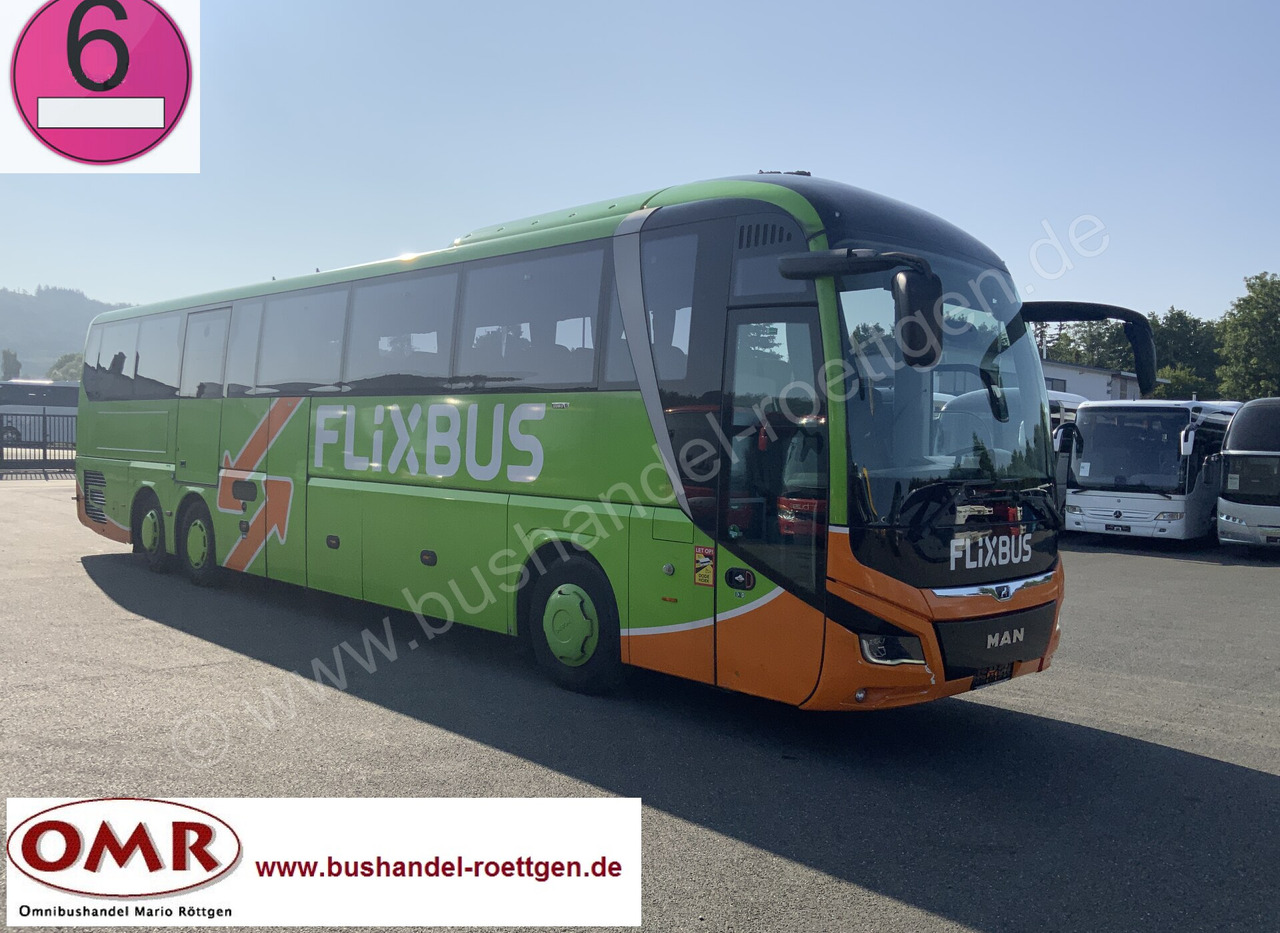 MAN R 08 Lions Coach L - Coach: picture 1 MAN R 08 Lions Coach L - Coach: picture 1