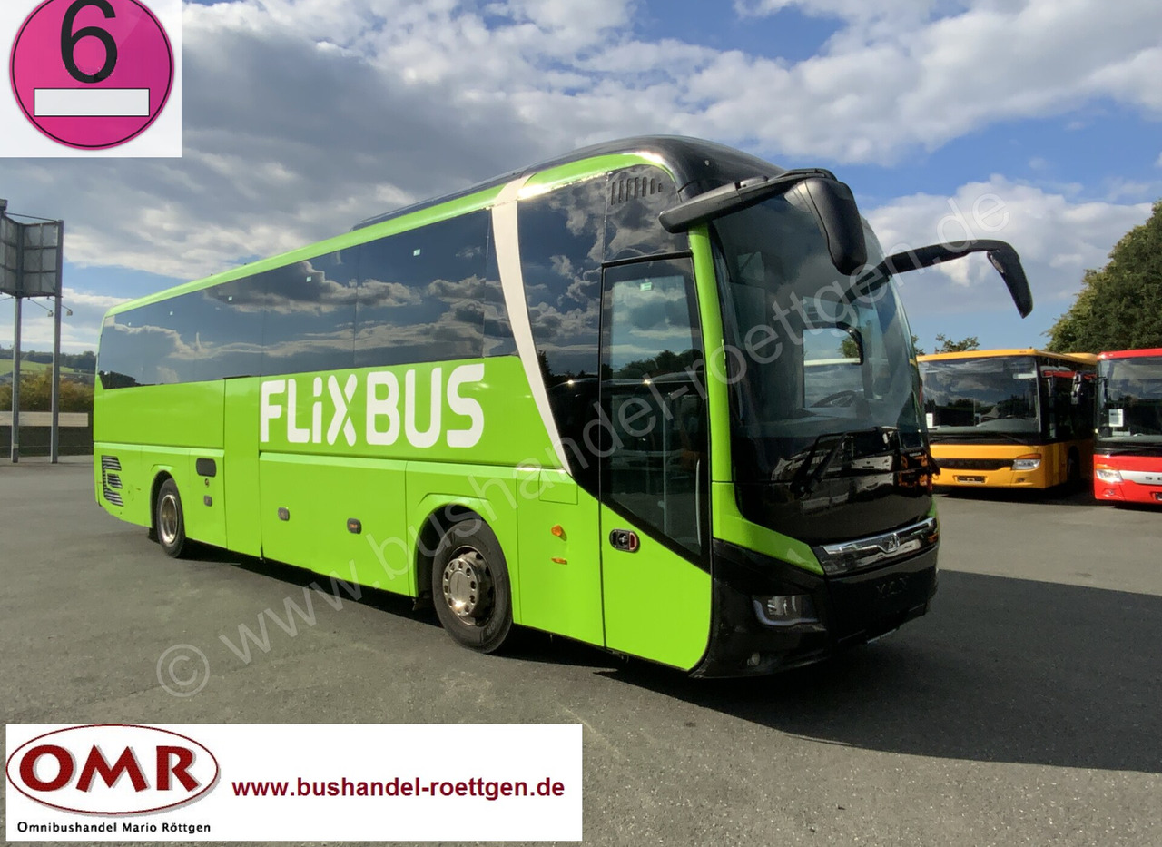 MAN R07 Lions Coach - Coach: picture 1 MAN R07 Lions Coach - Coach: picture 1