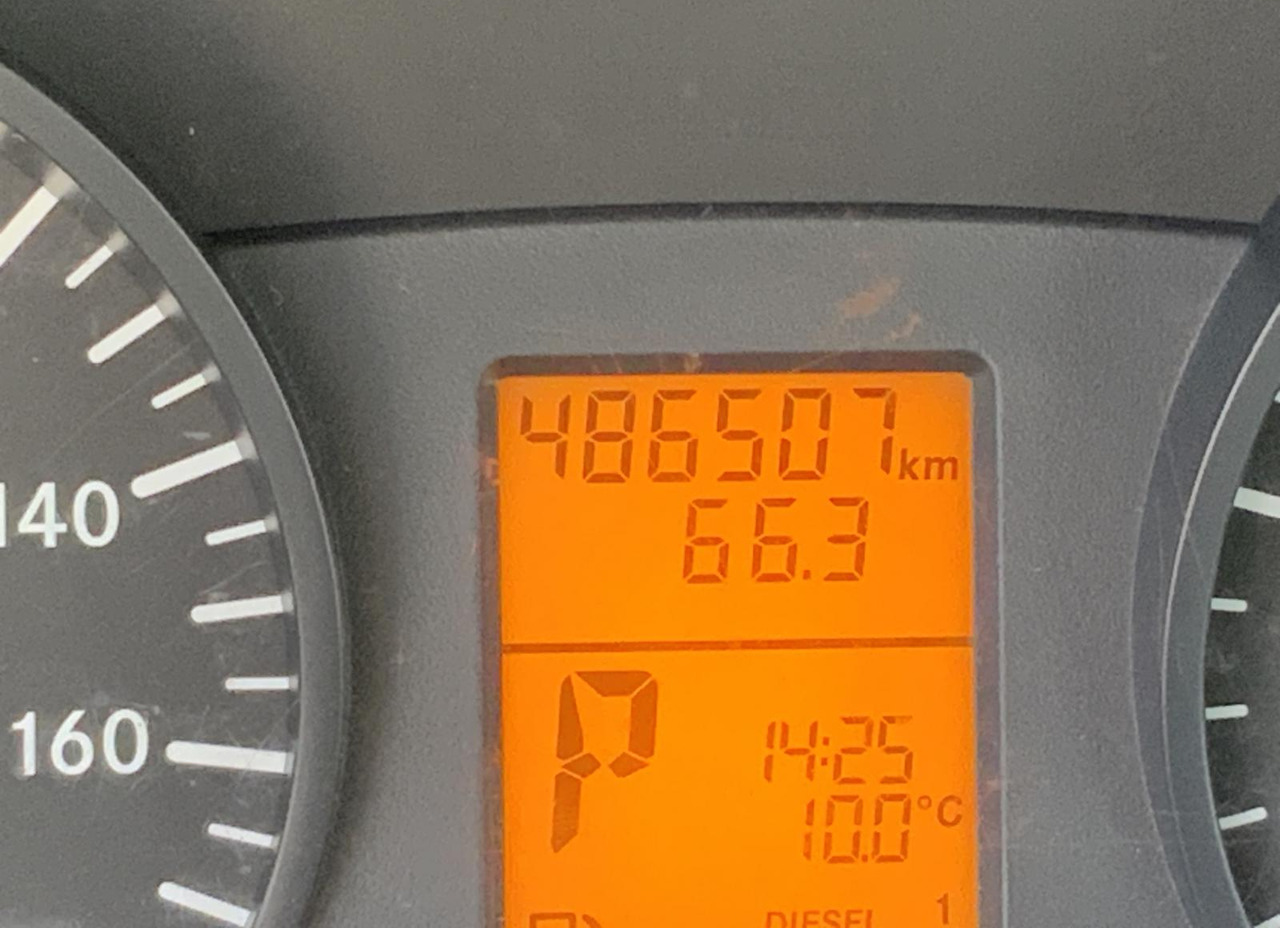 Minibus, Passenger van Mercedes-Benz 313 CDI Sprinter: picture 16